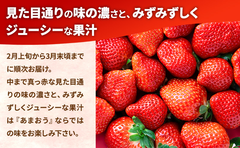 【春】福岡産あまおう4パック いちご  苺 イチゴ フルーツ 果物 ※配送不可:離島