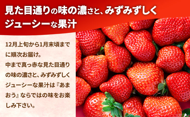 【冬】福岡産あまおう4パック いちご  苺 イチゴ フルーツ 果物 ※配送不可:離島