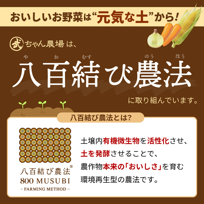 愛知県碧南市のふるさと納税 甘さと栄養で体も笑う武ちゃん農場の“ハッピーキャロット 4kg　H095-021