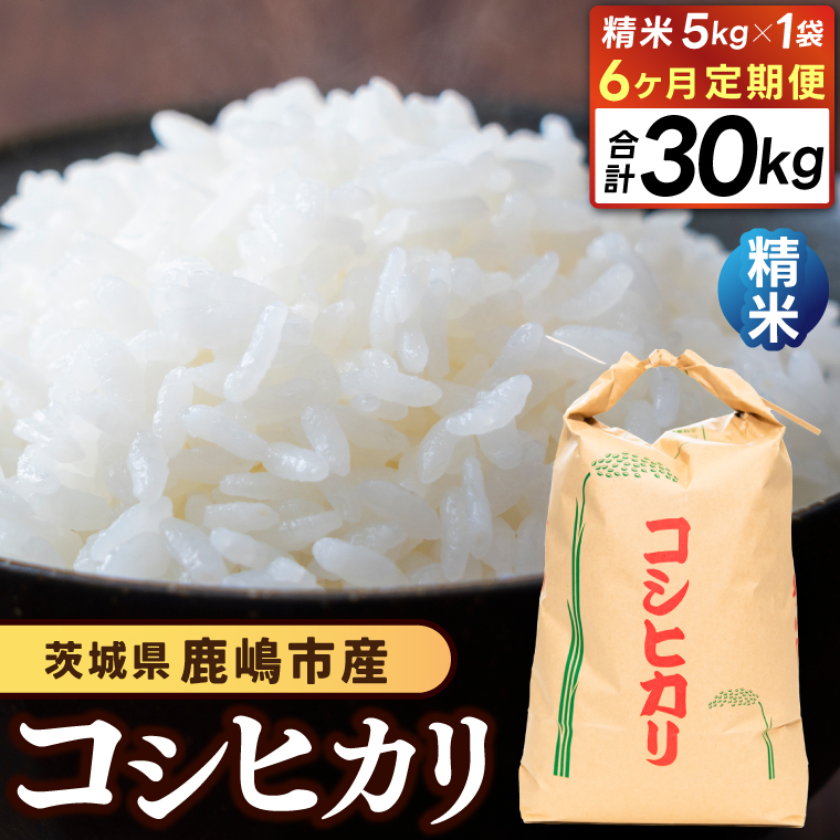 【先行予約】【6ヶ月定期便】コシヒカリ5kg×6回 (精米) 鹿嶋市産【こしひかり 茨城県 鹿嶋市 80000円以内】（KDS-9）