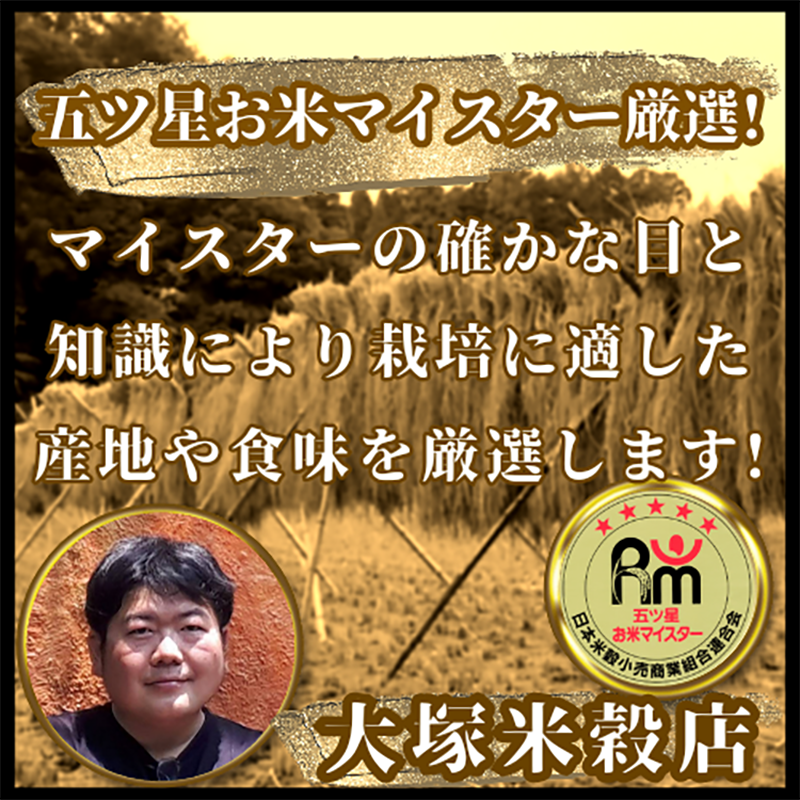 佐賀県みやき町のふるさと納税 CID17_【無洗米】さがびより３kg【五つ星お米マイスター厳選！】