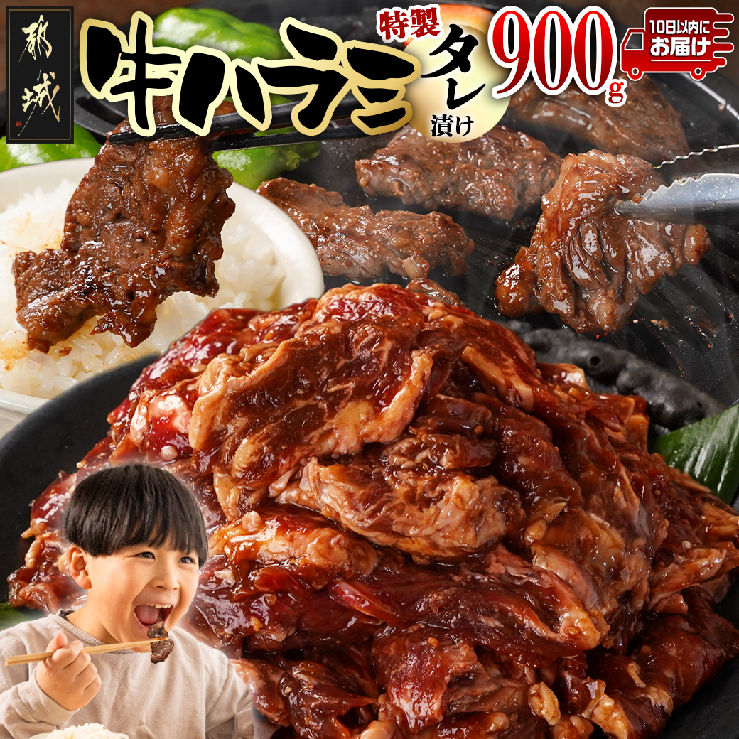 牛ハラミ タレ漬け900g≪みやこんじょ特急便≫_LG8-3308-Q