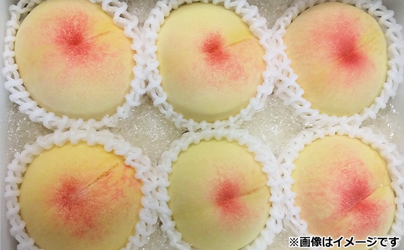 桃 2026年 先行予約 11月の旬な 白桃 冬桃 をお届け！約1.5kg 5～7玉 糖度センサー選果 糖度12度以上 もも モモ 岡山県 赤磐市産 国産 フルーツ 果物 ギフト あみかフルーツ　岡山 旬の桃 少し小ぶり