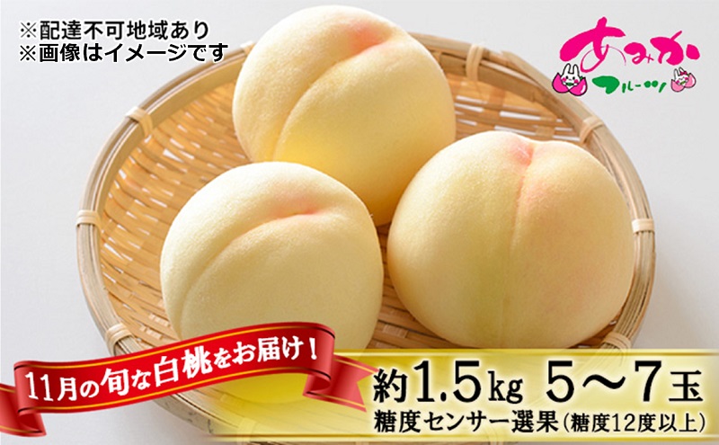 桃 2025年 先行予約 11月の旬な 白桃 冬桃 をお届け！約1.5kg 5～7玉 糖度センサー選果 糖度12度以上 もも モモ 岡山県 赤磐市産 国産 フルーツ 果物 ギフト あみかフルーツ　岡山 旬の桃 少し小ぶり