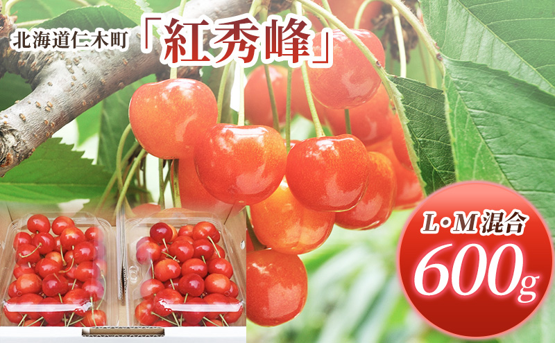 先行受付 北海道 仁木町産 さくらんぼ 紅秀峰 600g (300g×2パック) L-Mサイズ 混合　旬 桜桃 産地直送 サクランボ チェリー フルーツ 果物 果物類  仁木町 仁木 [松山商店]