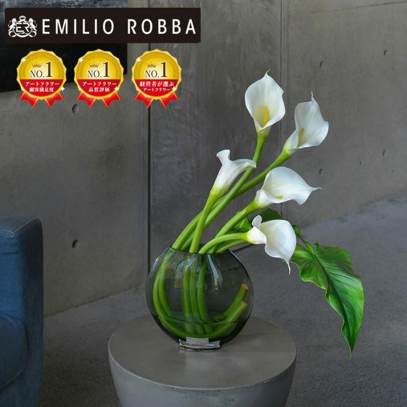 yOdszA[gt[ G~IEo  J[4L TTNTA-43300