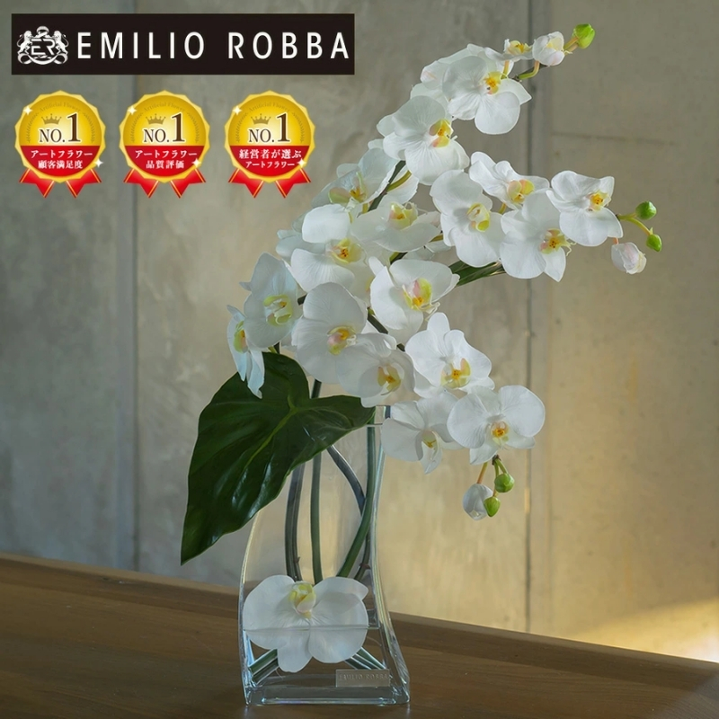 yOdszA[gt[ G~IEo  t@mvVX4L TTNTA-56300