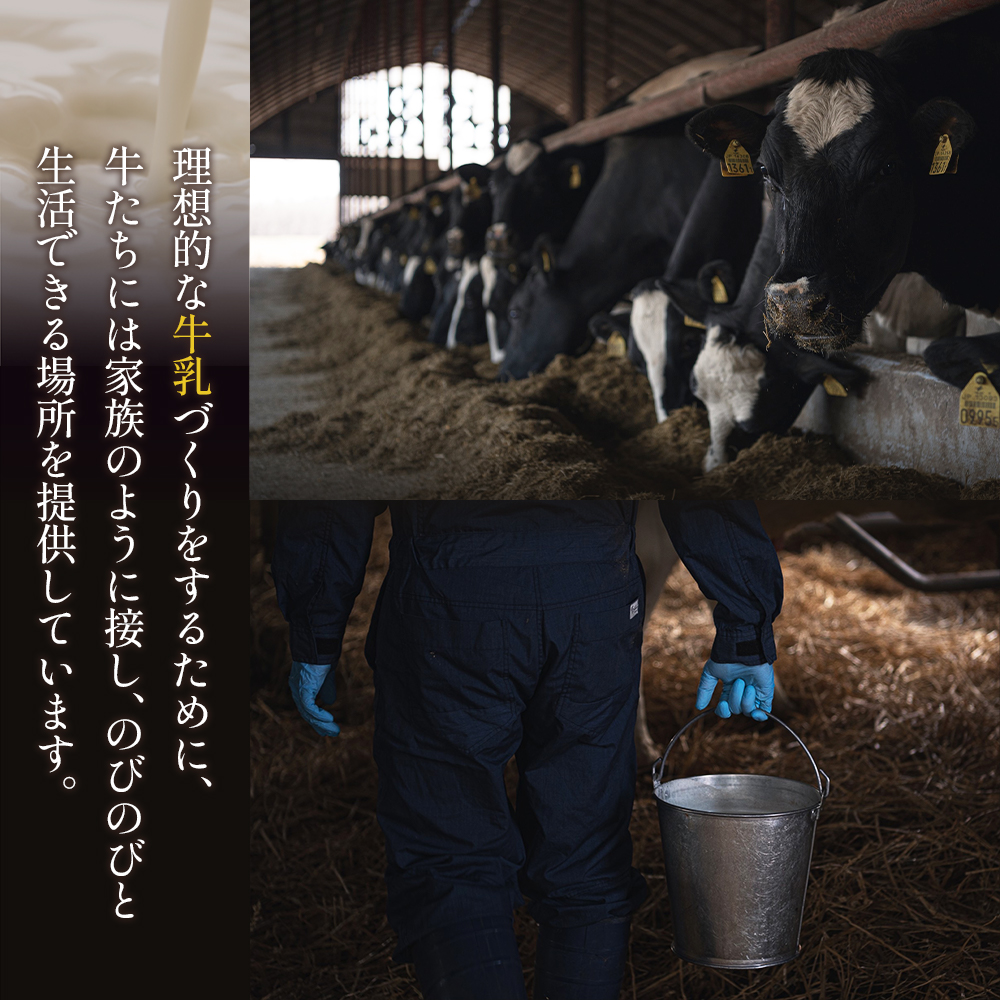 北海道中標津町のふるさと納税 【Google口コミ星4.9の洋菓子店】べつかい 極濃チーズサンド 4個入り【52009】