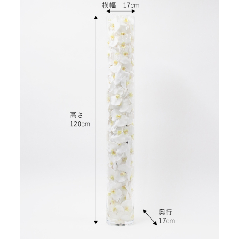 アートフラワー エミリオ・ロバ ファレノプシスシリンダー TTNUA56150