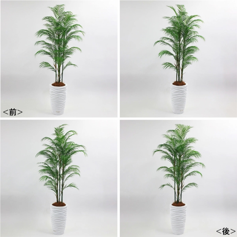 アートフラワー エミリオ・ロバ パーム4L TUTTA14850