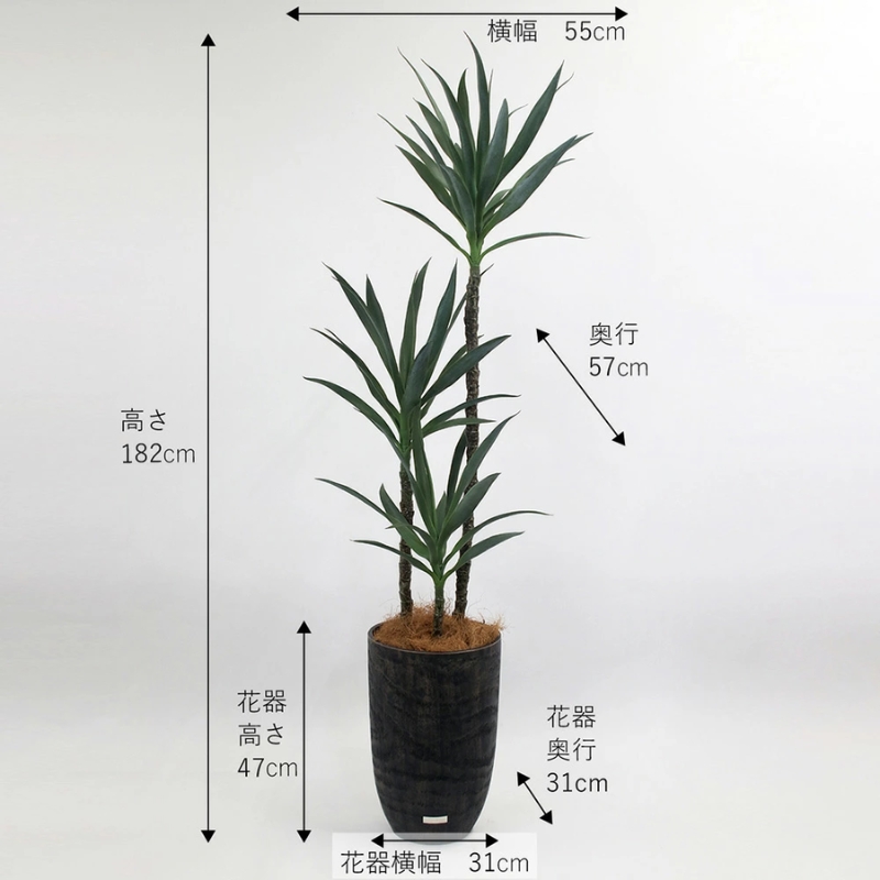 アートフラワー エミリオ・ロバ ユッカラン4L TUTTA15850