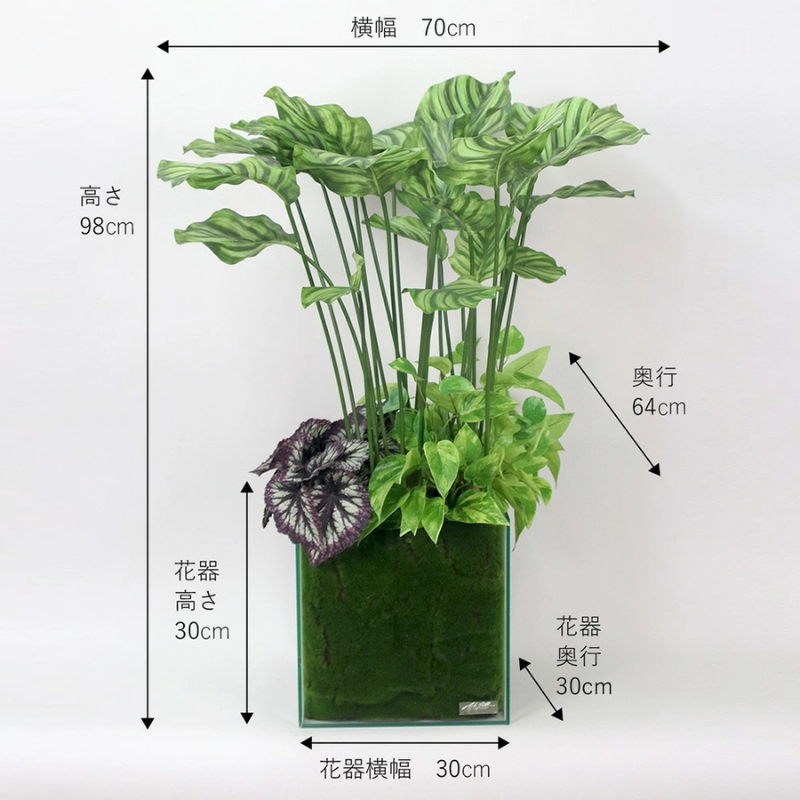 アートフラワー エミリオ・ロバ ギャザリングカラテア TTTTA06800