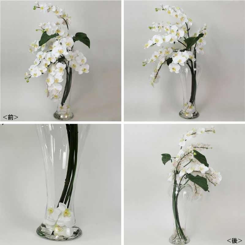 アートフラワー エミリオ・ロバ  ファレノプシス4Li TTNTP-54700