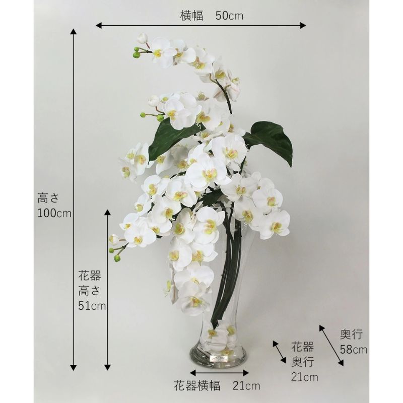 アートフラワー エミリオ・ロバ  ファレノプシス4Li TTNTP-54700