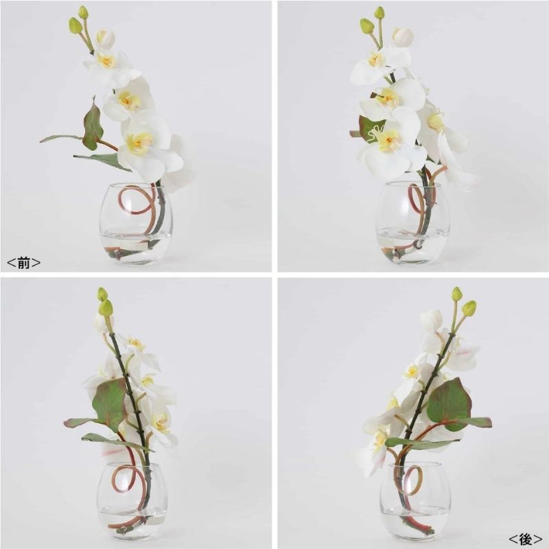 アートフラワー エミリオ・ロバ ファレノプシスS-a TTNTS52100