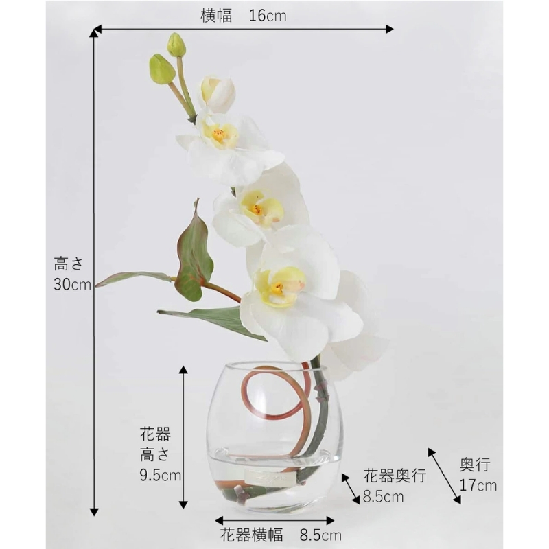 アートフラワー エミリオ・ロバ ファレノプシスS-a TTNTS52100