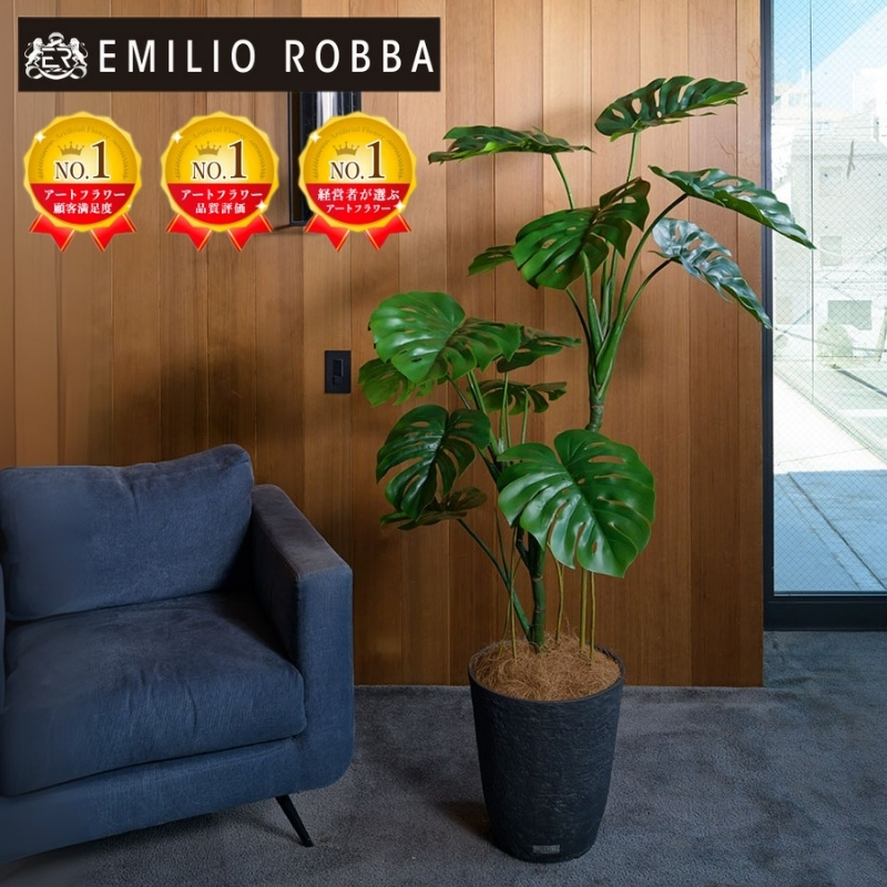 yOdszA[gt[ G~IEo Xe(tjTUTTA06750