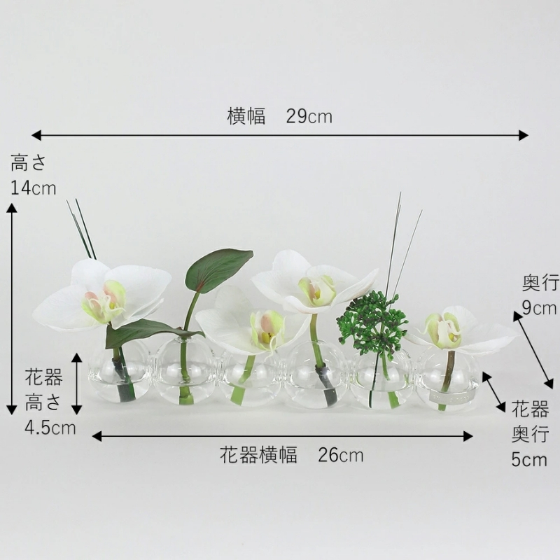 アートフラワー エミリオ・ロバ ファレノプシス6W-w TTNTA03150