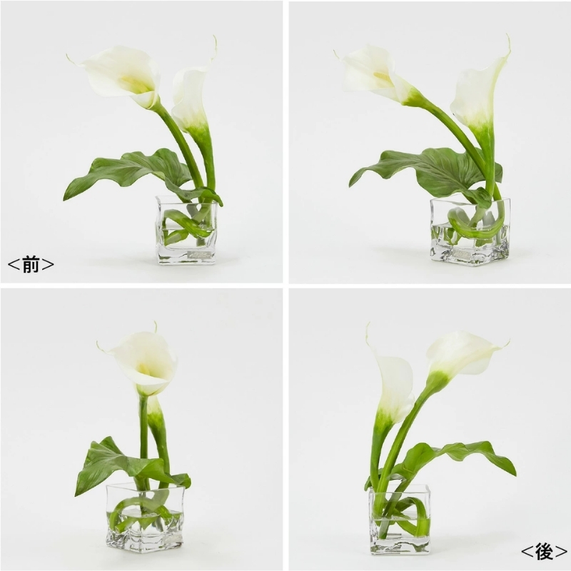 アートフラワー エミリオ・ロバ カラーM TTNTS40120