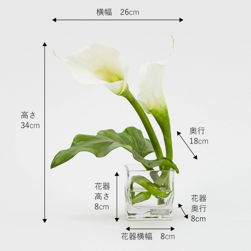 アートフラワー エミリオ・ロバ カラーM TTNTS40120