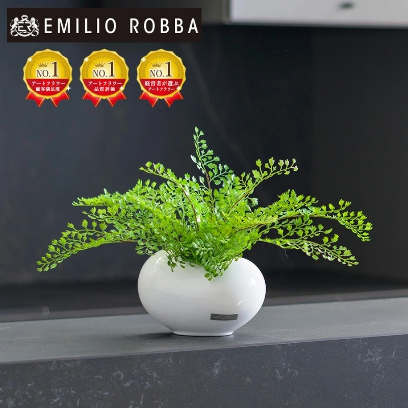アートフラワー エミリオ・ロバ アジアンタム TTTTA03070