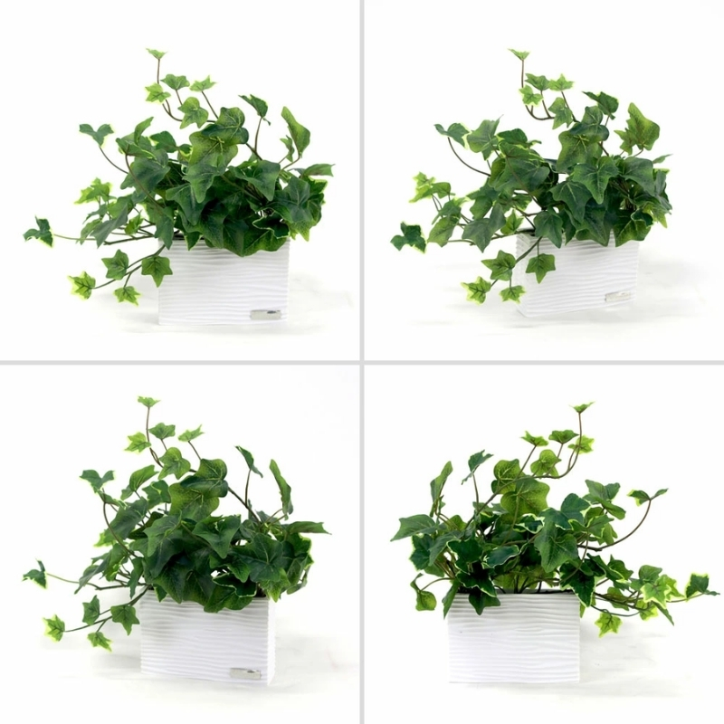 アートフラワー エミリオ・ロバ  アイビーS TTTTA-01070