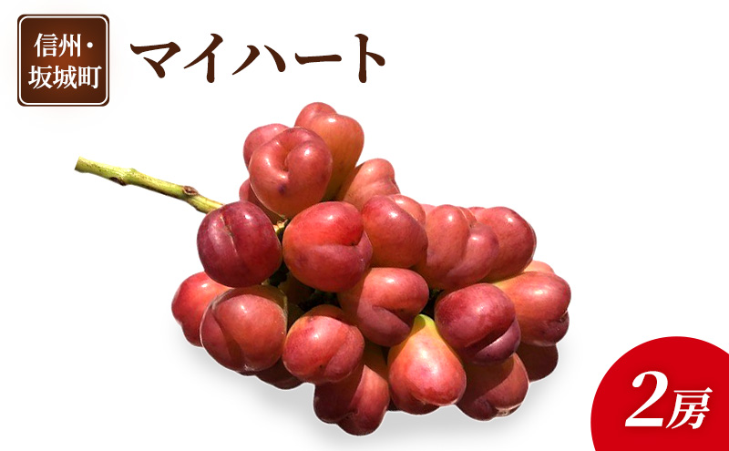 ぶどう マイハート 2房 葡萄 ブドウ フルーツ 果物 デザート おやつ 信州 長野 坂城町