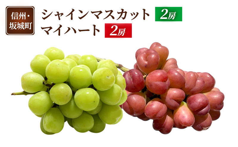 ぶどう シャインマスカット 2房 マイハート 2房 葡萄 ブドウ フルーツ 果物 デザート おやつ 信州 長野 坂城町