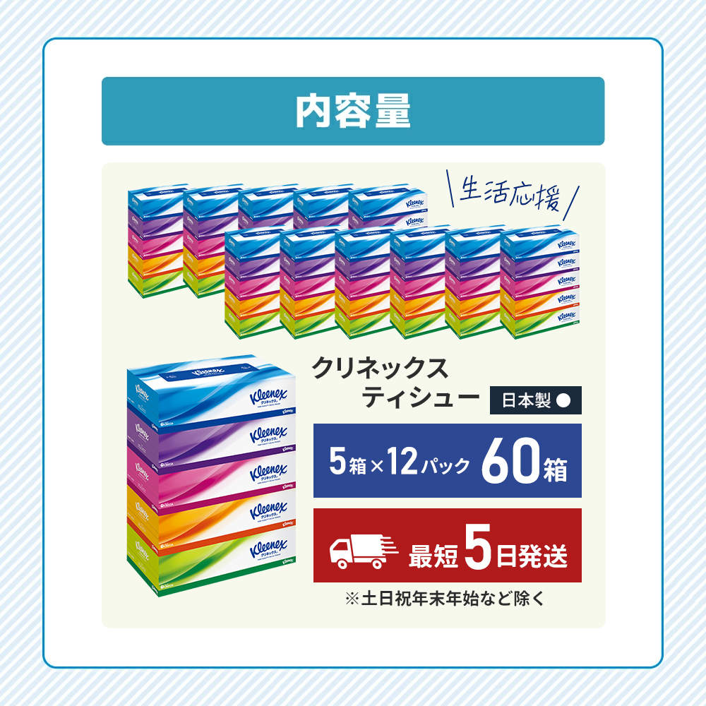 宮城県岩沼市のふるさと納税 最短発送 ティッシュ クリネックス 60箱 (5箱×12パック) ティッシュペーパー ティシュー ティシューペーパーボックスティッシュ ボックスティシュー 日用品 消耗品 生活用品 生活必需品 まとめ買い 防災 最短 宮城県 岩沼市