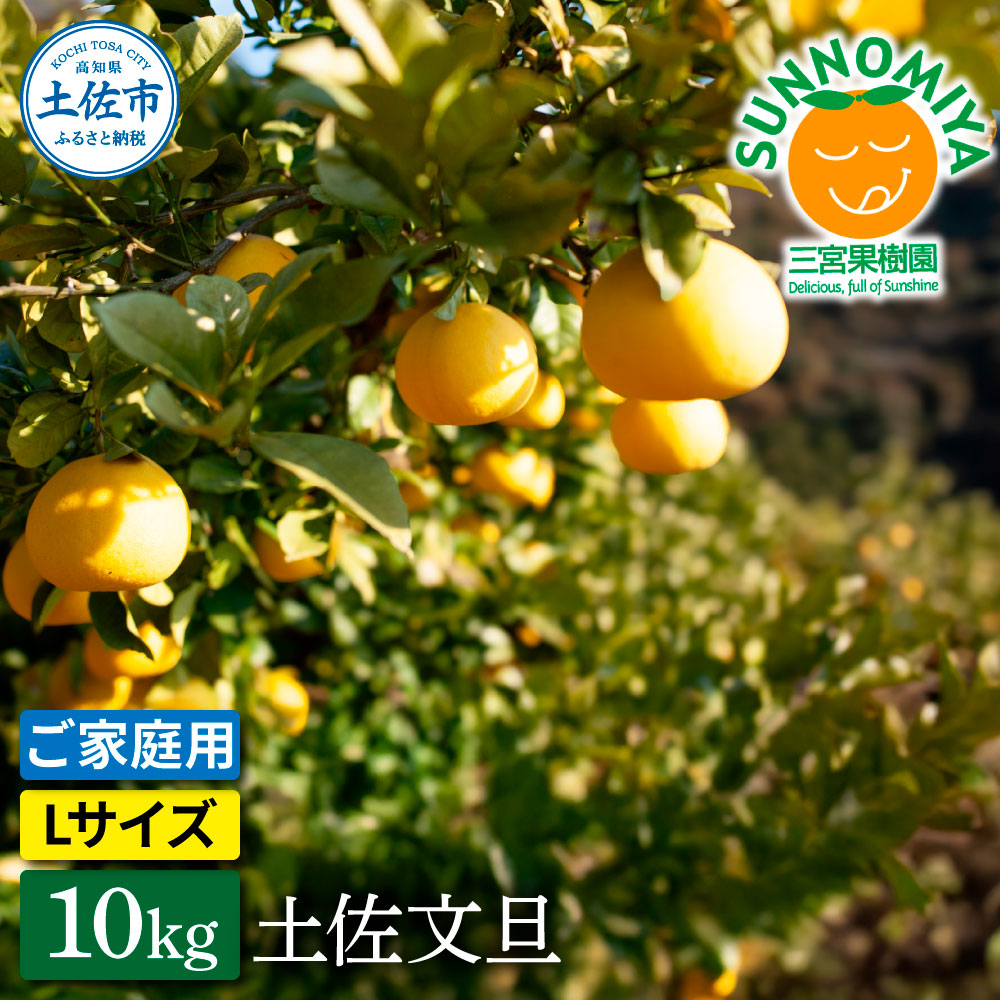 三宮果樹園の土佐文旦 ご家庭用Lサイズ 10kg