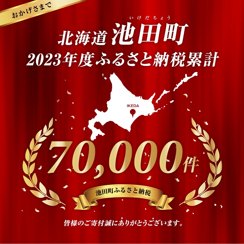 北海道池田町のふるさと納税 北海道産 熟成じゃがいも 北海黄金4kg　期間限定 雪室貯蔵 十勝産 ジャガイモ じゃが芋 いも 甘い