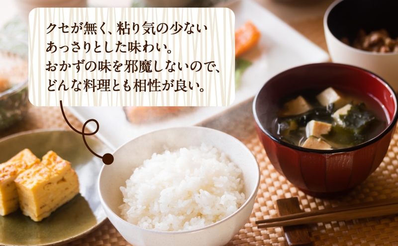 R7年産 特選米 ハツシモ 玄米 11kg ×1袋 お米 米 ごはん 新米 ご飯 はつしも 令和7年産 ブランド米 低農薬 お取り寄せ 産地直送 クリーンファームまき 送料無料 岐阜県 安八町