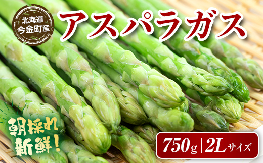【先行予約】朝採れ新鮮アスパラ 750g（