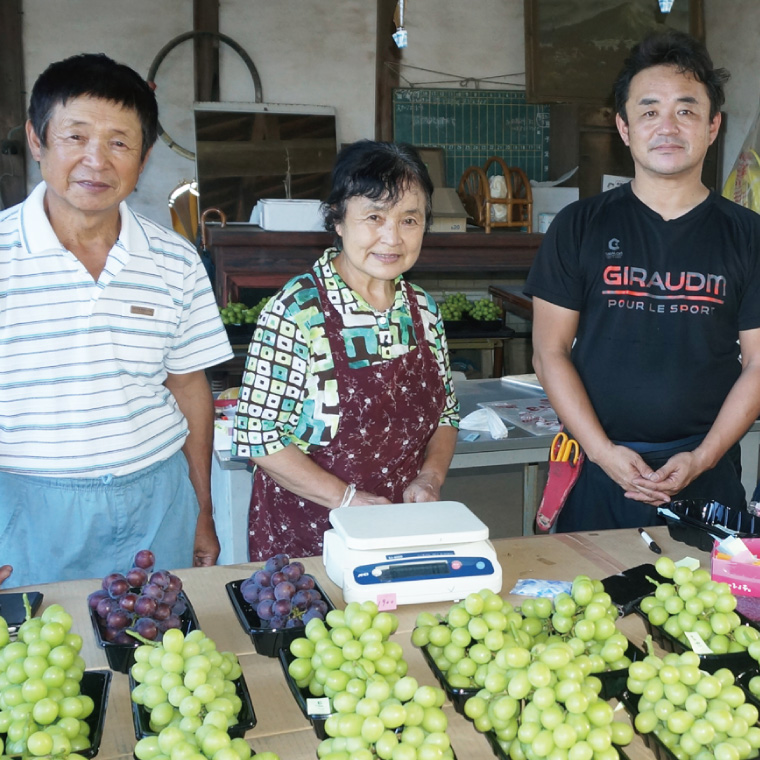 【先行予約】【2026年8月下旬順次発送開始】シャインマスカット1房（約650g）＋粒パック約100g付き【茨城県共通返礼品：下妻市】│ フルーツ 果物 ぶどう 種なし 大粒 数量限定 茨城県（BJ002）