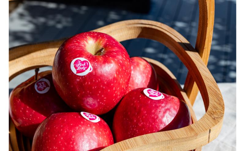 中松井農園 ピンクレディー約5kg 20～25玉 果物 フルーツ りんご 長野県産 信州 信州のリンゴ 酸味 小ぶり 芳醇 風味 クッキングアップル デザート 食後 爽やかな酸味 希少