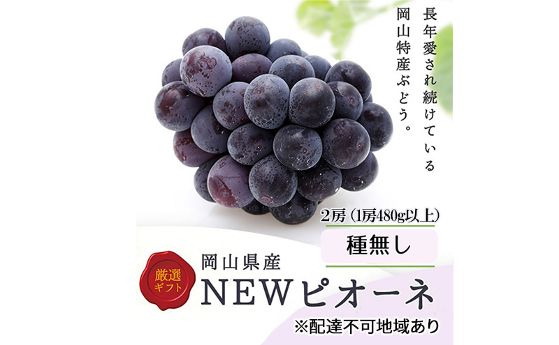 【岡山県瀬戸内市】ぶどう 2026年 先行予約 ニューピオーネ 2房(1房480g以上) 化粧箱入り ブドウ 葡萄 岡山県産 国産 フルーツ 果物 ギフト