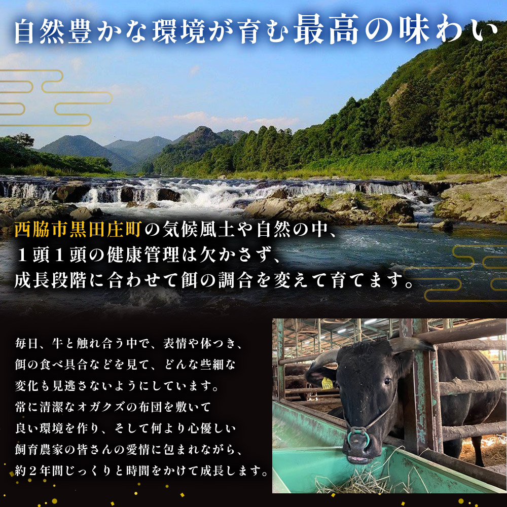 【最短7営業日発送】【神戸ビーフ素牛】特選 黒田庄和牛（焼肉用特選モモ、600g）(30-4) 肉 お肉 牛肉 焼肉 焼き肉 赤身 モモ肉 BBQ 便利 神戸ビーフ 神戸牛 黒田庄和牛 高級黒毛和牛