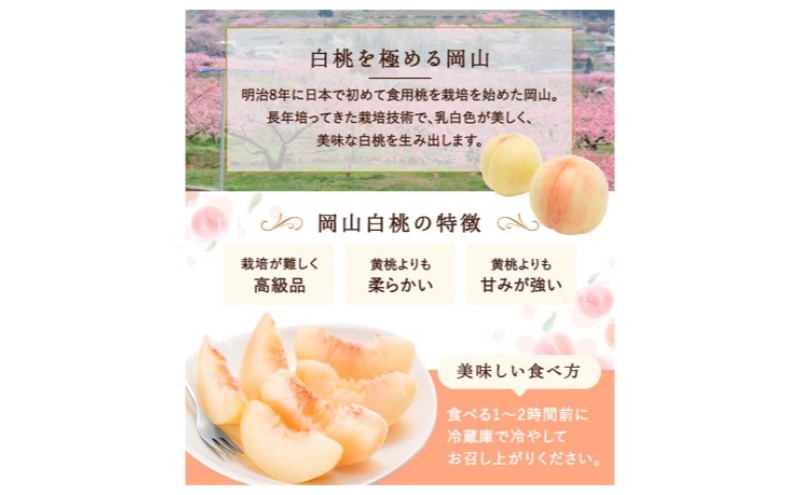 桃 2026年 先行予約 白桃 3玉(約750g)等級：ロイヤル 化粧箱入り もも モモ 岡山県産 国産 フルーツ 果物 セット ギフト