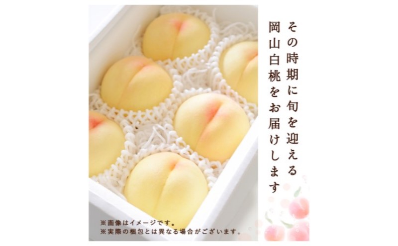 桃 2026年 先行予約 白桃 3玉(約750g)等級：ロイヤル 化粧箱入り もも モモ 岡山県産 国産 フルーツ 果物 セット ギフト