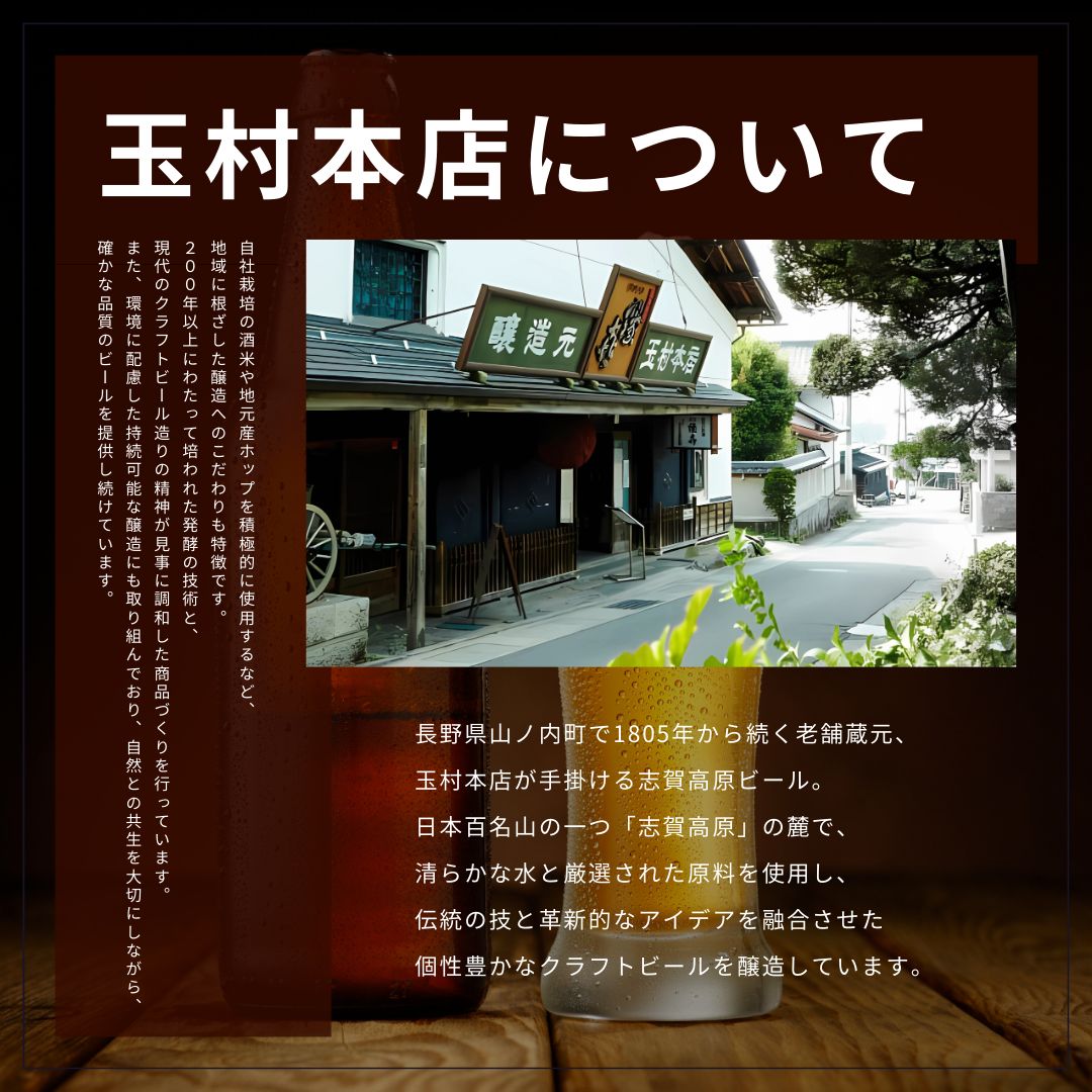玉村本店 志賀高原ビール24本セット 【 クラフトビール 志賀高原ビール 飲み比べセット ビール 詰め合わせ セット 地ビール 飲み比べ 黒ビール IPA ipa ペールエール ギフト 酒 お酒 アルコール 飲料 志賀高原 長野県 長野 】 