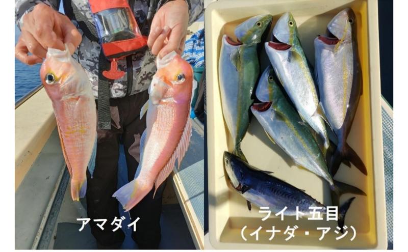 茅ヶ崎・釣り船　まごうの丸乗船券30,000円分　チケット 乗船券 乗船チケット 釣り フィッシング 釣船 乗合船 相模湾 ライト五目 タイ五目 シロギス カツオ キハダマグロ ヤリイカ