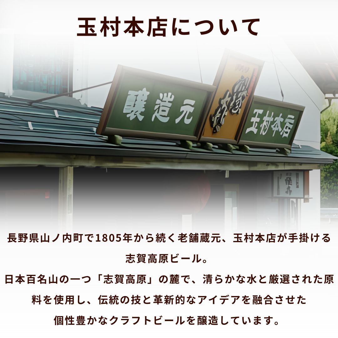 定期便 3ヶ月 志賀高原ビール12本セット 【 クラフトビール 志賀高原ビール 飲み比べセット 玉村本店 ビール 詰め合わせ セット 地ビール 飲み比べ 黒ビール IPA ipa ペールエール 酒 お酒 長野 定期 お楽しみ 3回 】 