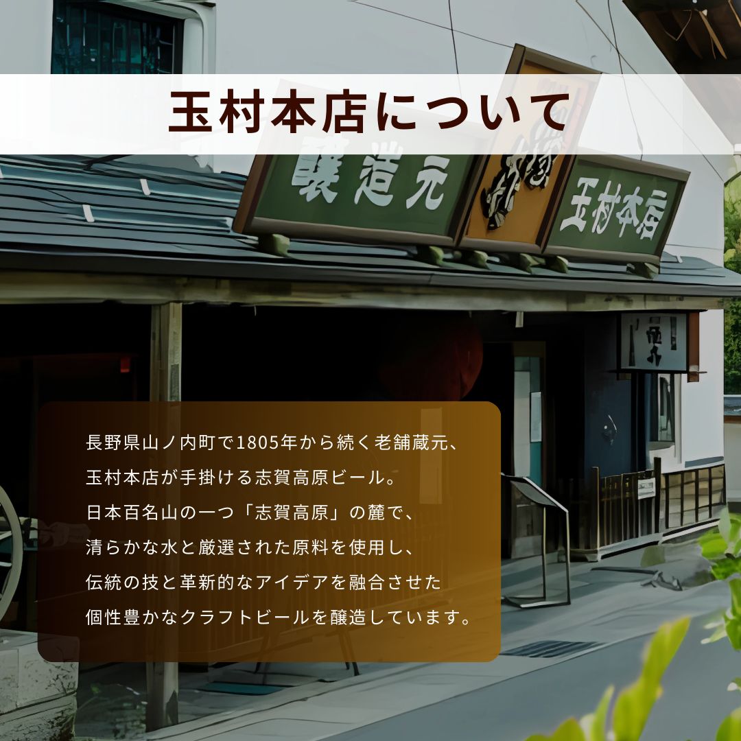 定期便 3ヶ月 志賀高原ビール24本セット 【 クラフトビール 志賀高原ビール 飲み比べセット 玉村本店 ビール 詰め合わせ セット 地ビール 飲み比べ 黒ビール IPA ipa ペールエール 酒 お酒 長野 定期 お楽しみ 3回 】 