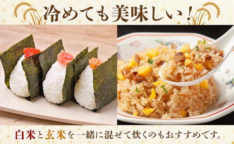 彩のきずな（玄米）5kg　米 コメ こめ お米 玄米 精米 ライス 冷めても美味しい 硬くなりにくい おにぎり お弁当 鳩山町 埼玉県産