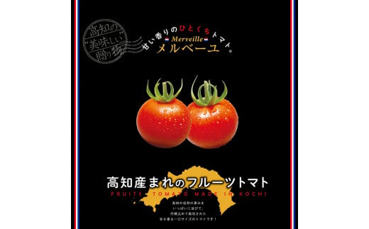 高知産フルーツトマト「メルベーユ」約1.5kg 糖度9度以上！【s-kensyo】数量限定 期間限定 故郷納税 高糖度 野菜 とまと 甘さ ミニトマト　甘い　フルティカ