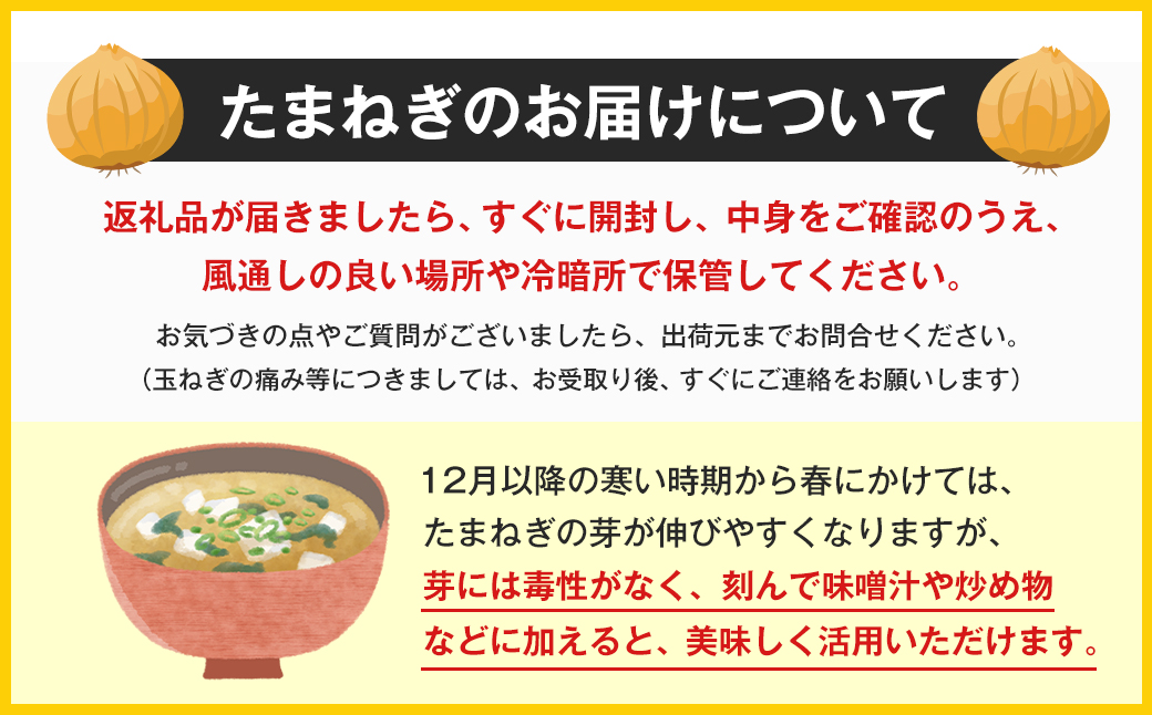 【定期便】淡路島 池上農場の完熟たまねぎ「あやたけ」5kg　12ヶ月コース　　[玉ねぎ 玉葱]