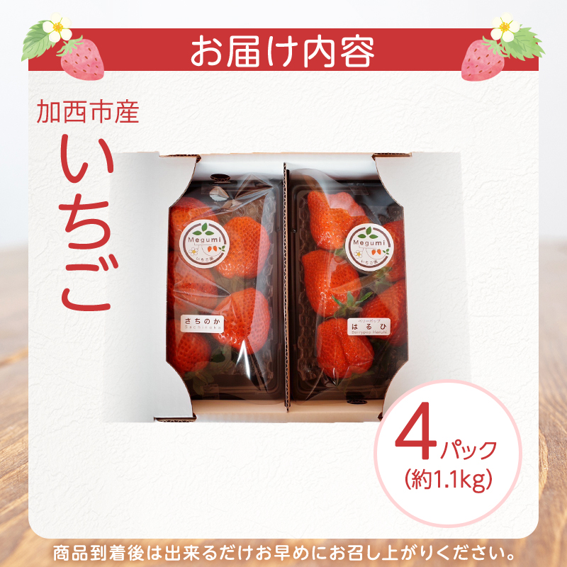 いちご　4パック 兵庫県 加西市 果物類 苺 イチゴ 果物詰合せ フルーツ 