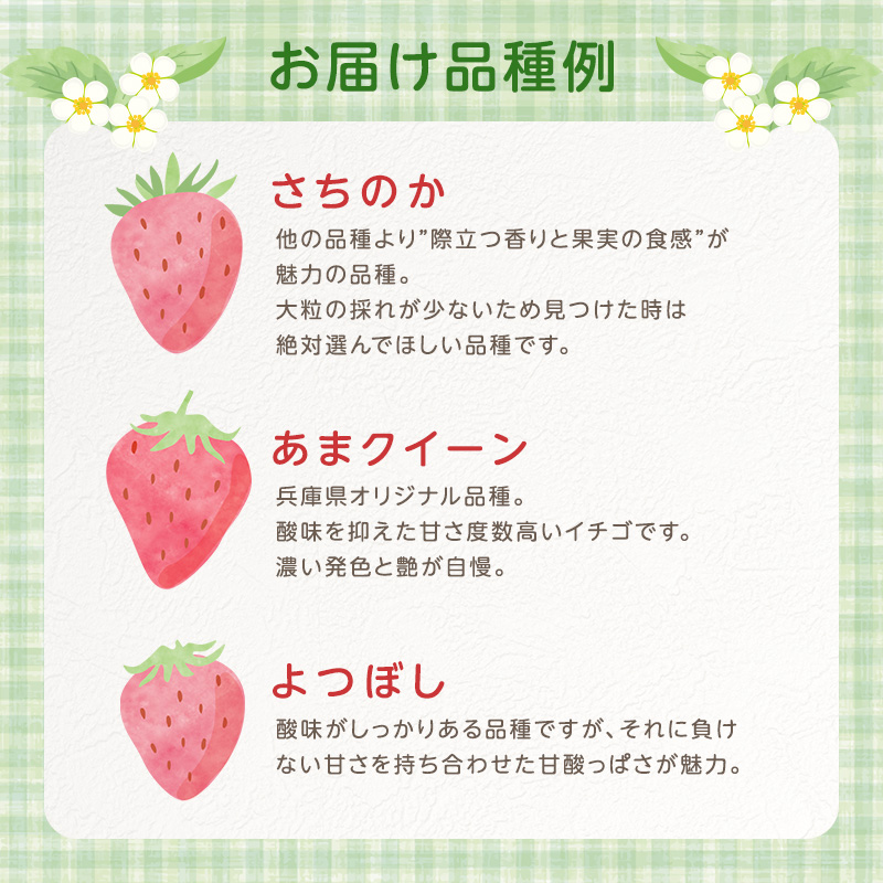 いちご　4パック 兵庫県 加西市 果物類 苺 イチゴ 果物詰合せ フルーツ 