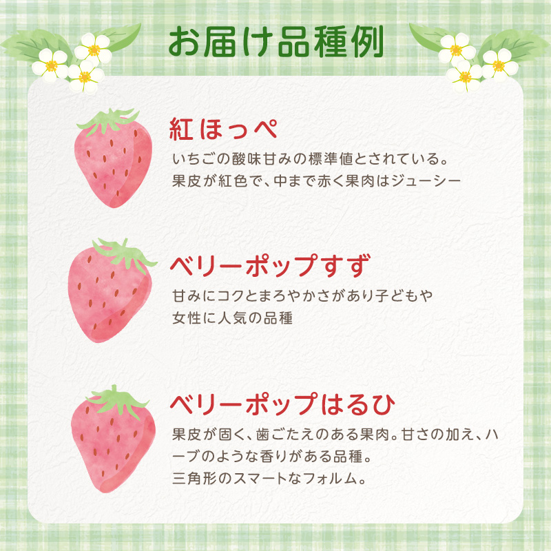 いちご　4パック 兵庫県 加西市 果物類 苺 イチゴ 果物詰合せ フルーツ 
