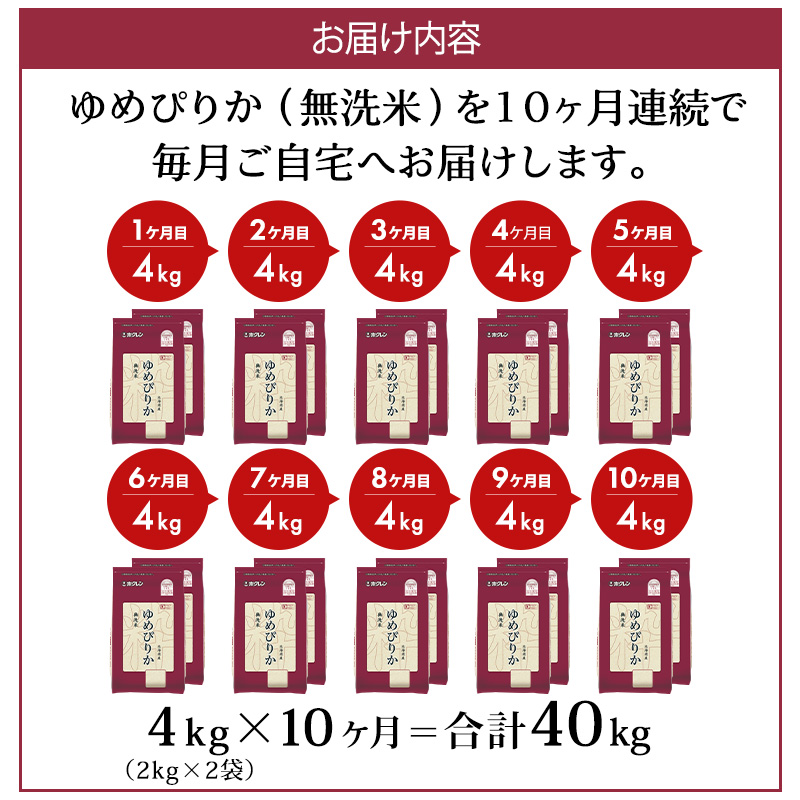 10ヵ月 定期便 (無洗米4kg)ホクレンゆめぴりか(無洗米2kg×2袋)袋はチャック付 米 お米 白米 ごはん ご飯 ライス 和食 炭水化物 主食 おにぎり お弁当  [JA新おたる] 